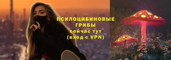 мяу мяу мука Балабаново
